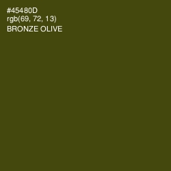 #45480D - Bronze Olive Color Image